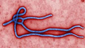 Ebola Graphic (CBS)