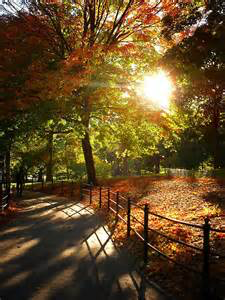 Autumn Central Park NY
