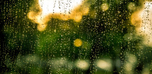 water-rain-raindrops-drops