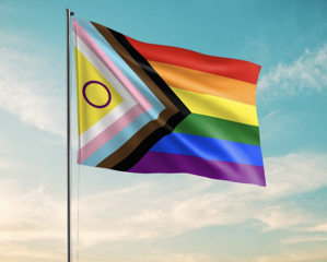 Gay flag 2662347892.