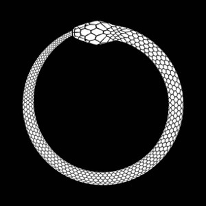 Ouroboros icon detailed symbol of snake eating its own tail 2483017822.